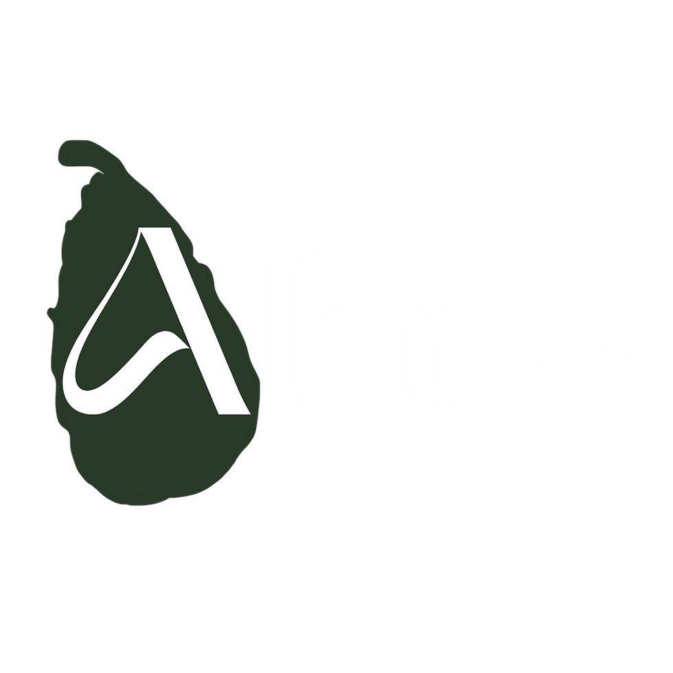 Allure Tours Coloured (2).png