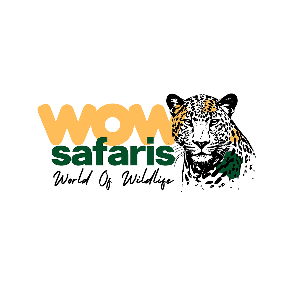 Black White Minimal Simple Modern Creative Studio Ego Logo (5).png