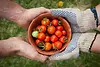 elaine-casap-qgHGDbbSNm8-unsplash.webp