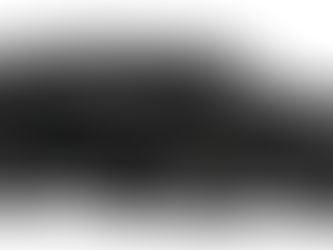 Discretion on the Road: When Privacy Matters in Ground Transportation