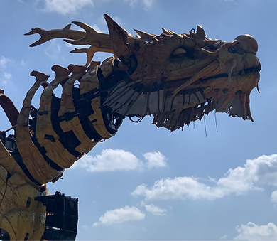 Acupuncture Global Balance Systeme Dr Tan