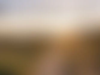 Day 22: Walking Humbly in His Love