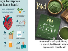 Exploring Natural Approaches to Improve Heart Health | Amazing Pure Organic Barley- Natural Blood Pressure Remedies!