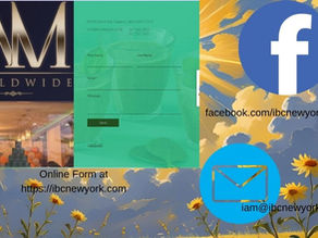 Contact IBC New York for Amazing Pure Organic Barley Queries