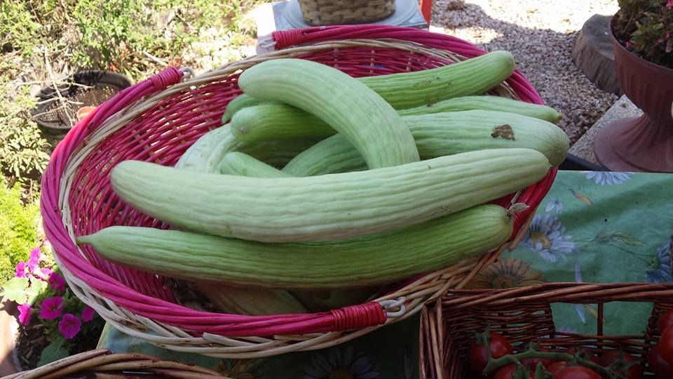 zucchine_siciliane
