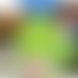 Gib Deinen Ahnen Raum in Deinem Leben