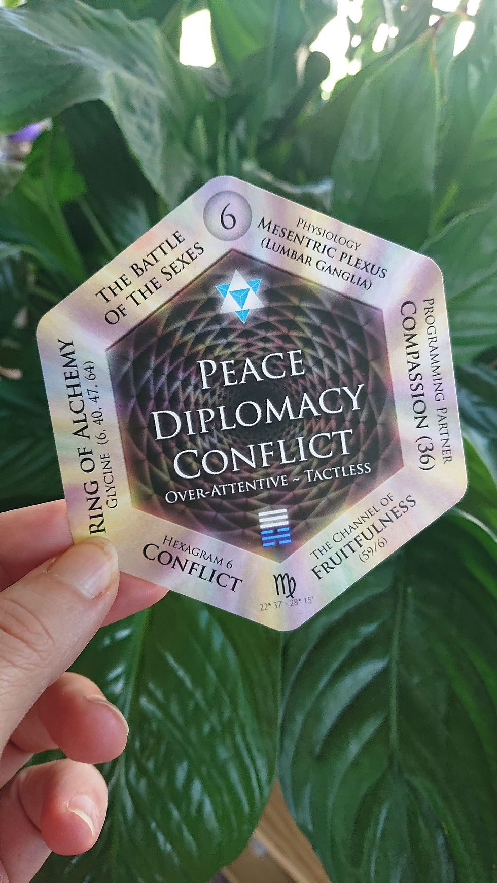 Die Karte zum 6. Gene Key aus dem Kartenset von Elijah Parker