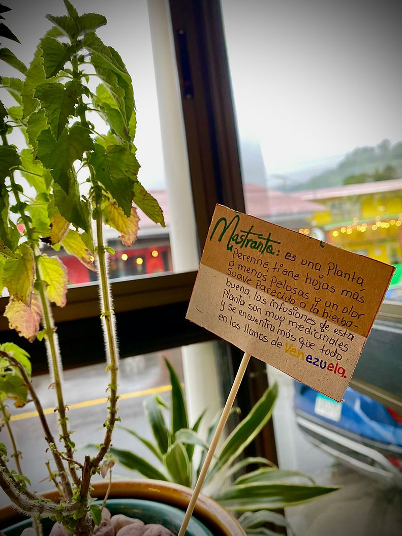 WhatsApp Image 2025-11-15 at 5.39.37 PM.jpeg