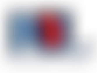 RBL Notice of Annual General Meeting 27th November 2025