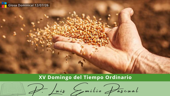 Imagen de cabecera que muestra una mano sosteniendo y esparciendo un puñado de granos de trigo sobre un campo de tierra cultivada, bajo una luz cálida. En la parte superior izquierda, un pequeño logo de "Glosa Dominical" y la fecha "12/07/26". Un banner verde cruza la parte inferior con el texto: "XV Domingo del Tiempo Ordinario". Debajo, sobre fondo verde claro, aparece el nombre "D. Luis Emilio Pascual" en tipografía cursiva, junto a un icono de un libro abierto.