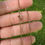 Thumbnail: 9ct rose gold t bar necklace