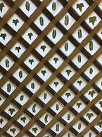 Privacy Panels, Leaved Light Filters, made from leaves and masking tape, by Dawna Flowers. Masking Tape Crafts
