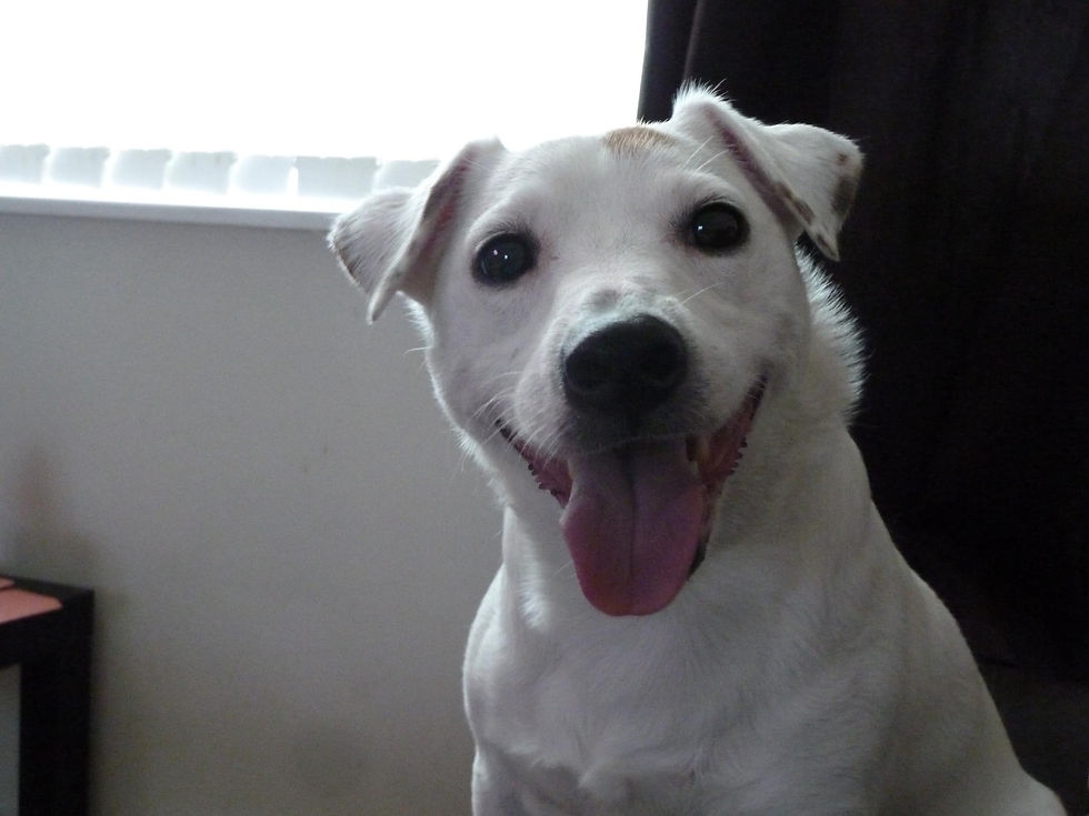 Eddie