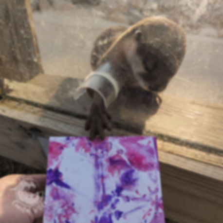 Otter Paw Print Card