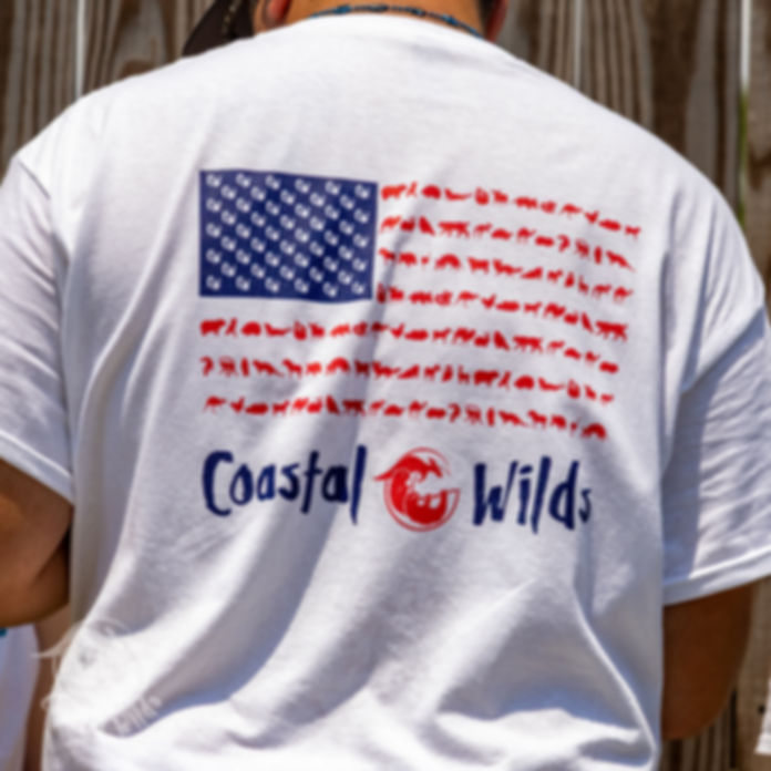 USA Flag T-Shirt