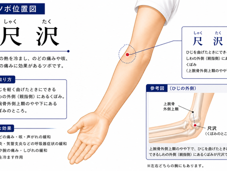 秋の養生法:東洋医学で学ぶ季節別の健康管理
