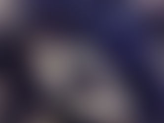 【🇺🇸SEMA Show 搜羅頂級PPF登陸香港!】