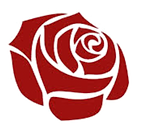 rose_onwhite_edited.png