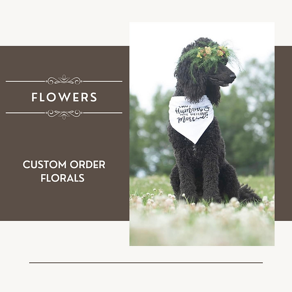 Website home page  - 10.png