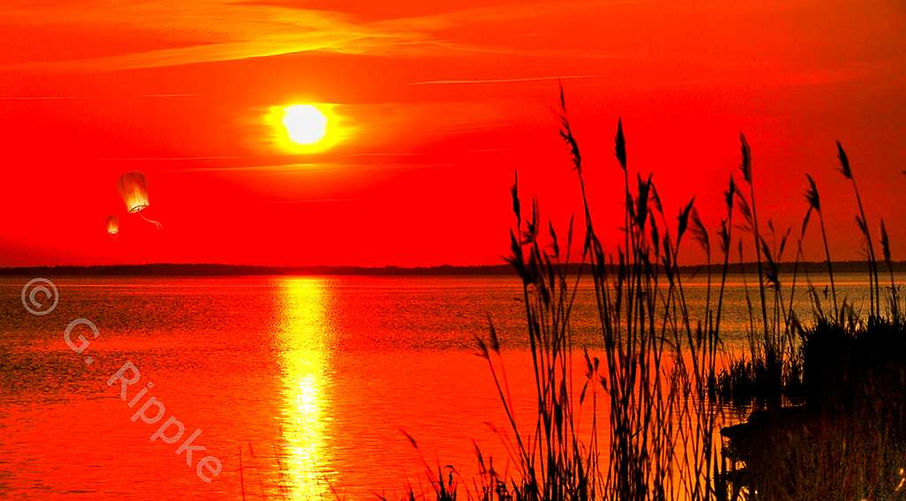 DSC_7739_40_41_tg-p-L4.jpg