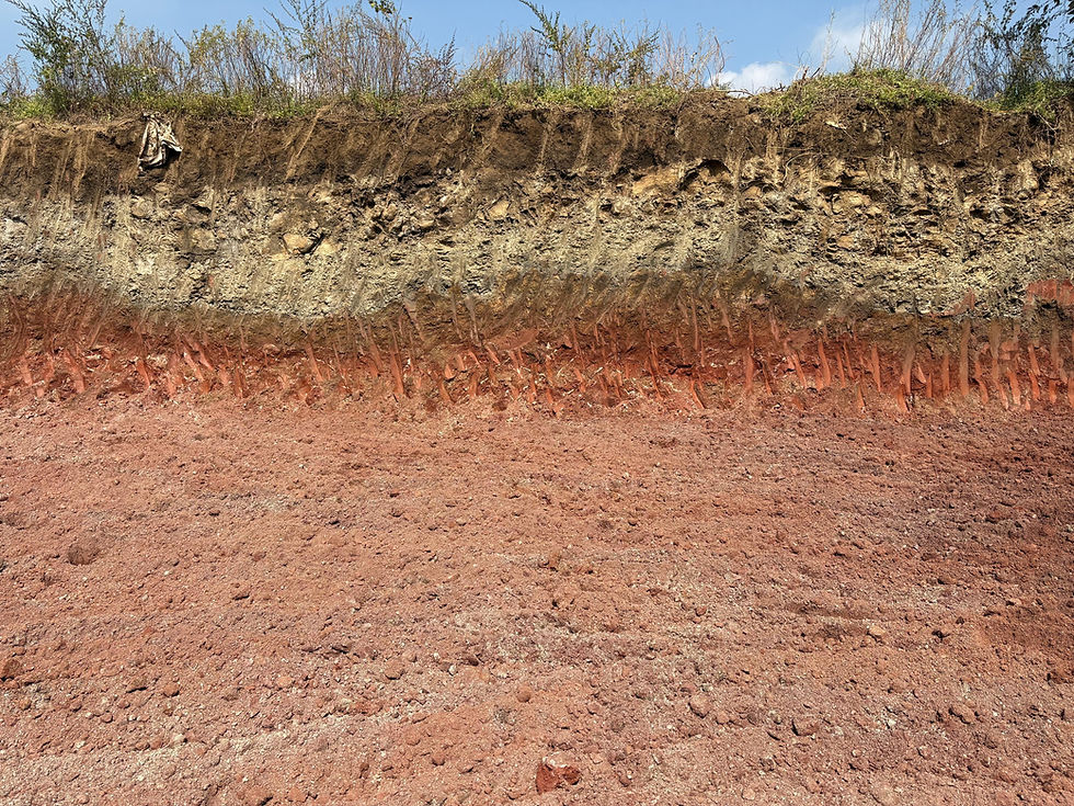 Thumbnail: Bentonite