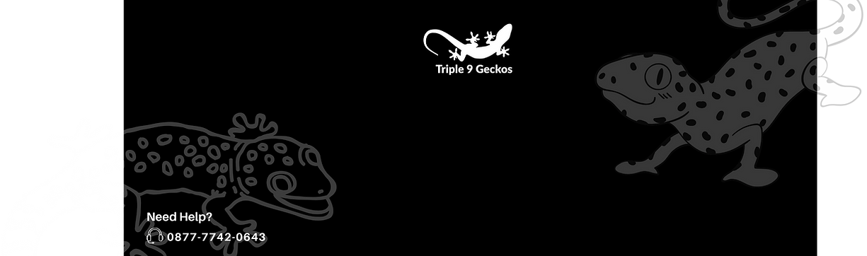 Triple9Geckos-9.png