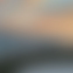 The Importance of Cutscenes in Games