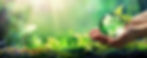 Img-CSR-banner-compress.jpg