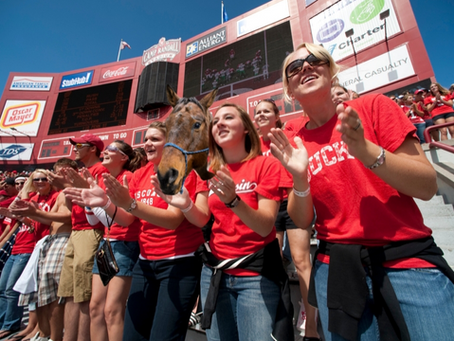 "What a Nice Sport Game" says Horse Disguised as Student at Football Game