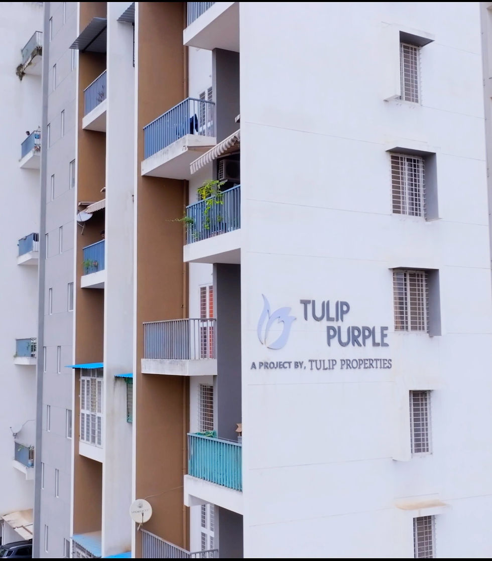 Purple Project by Varma Corp 