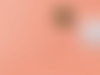 What is the max. number of Panelists in IPVideoTalk?