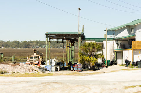 georgia clam farm salt marsh sapelo sea farm.