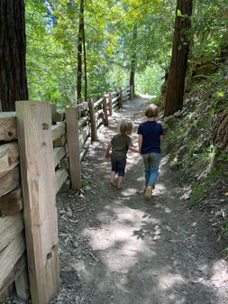 Kids on hike in Big Sur