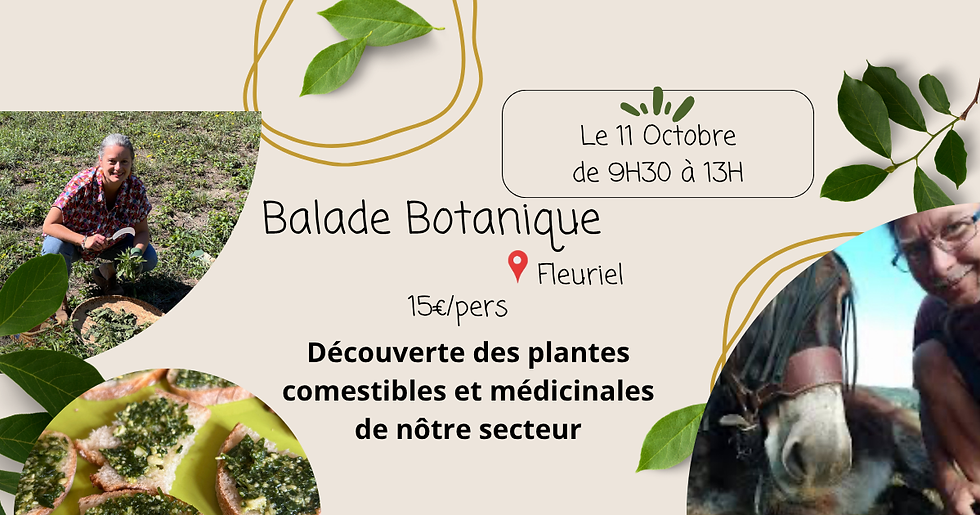 Balade botanique pour novices