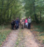 Balade botanique pour novices