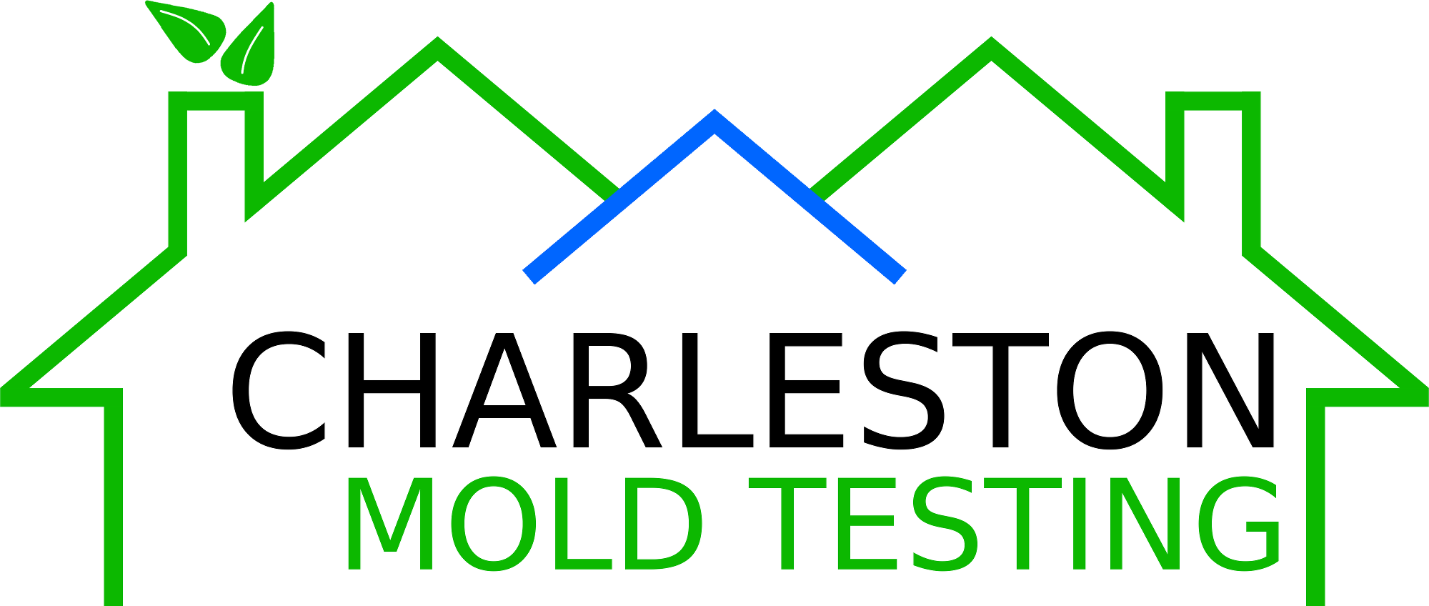 Charleston Mold Testing|Charleston|Mount Pleasant|South Carolina