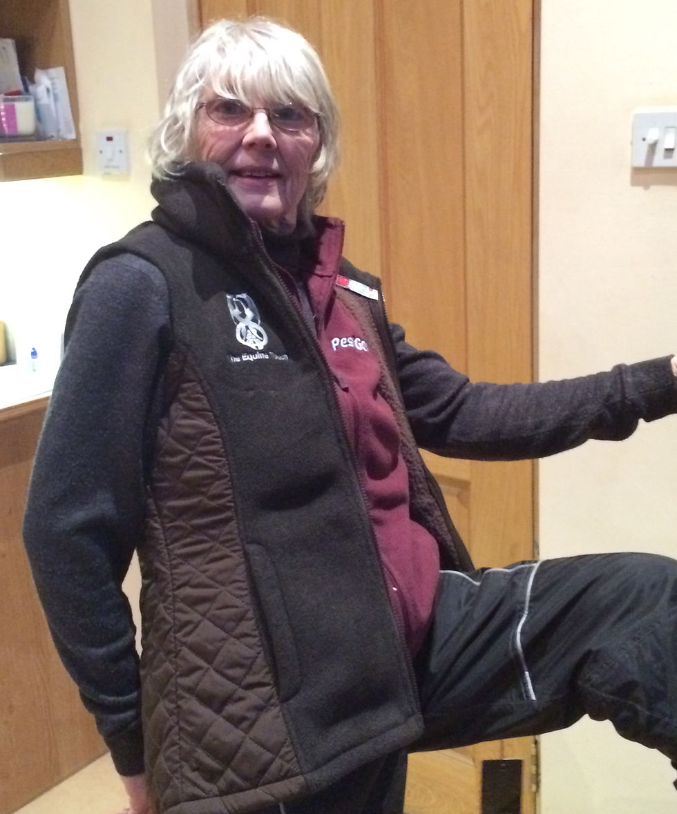 Thumbnail: Toggi Gilet