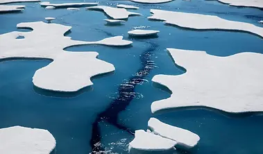 Melting sea ice in the Canadian Arctic. Photo credit: (Goldman, 2017)