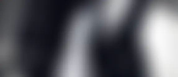 Michio Kushi conseguiu levitar?