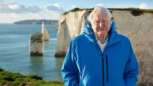 David Attenborough