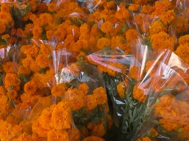 FLORISTAS DE LA LOCALIDAD ESPERAN TENER BUENAS VENTAS ESTE AĆO