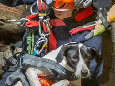 BOMBEROS RESCATAN A PERRO ATRAPADO DURANTE DÍAS EN POZO DE 20 METROS