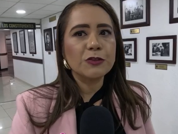 DIPUTADA ALEJANDRA ANG ANUNCIA COORDINACIĆN CON TESOREROS MUNICIPALES PARA MEJORAR FISCALIZACIĆN