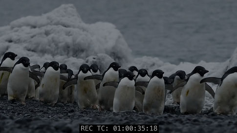 Screenshot 2026-03-20 114236_edited_edit