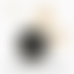 Année 2026 : Cheval Feu Yang