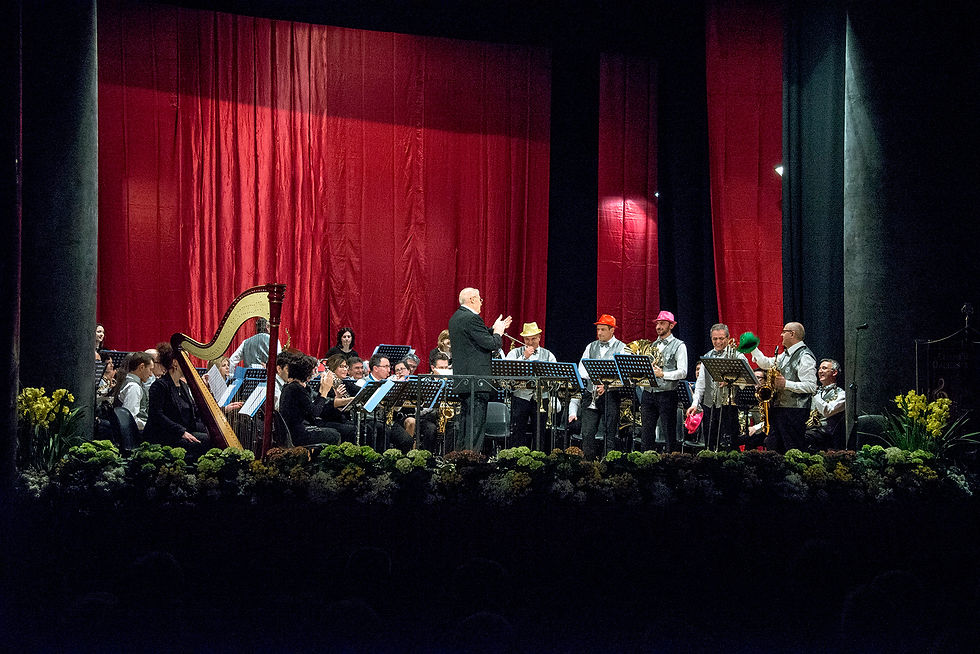 Concerto di Santa Cecilia 2025