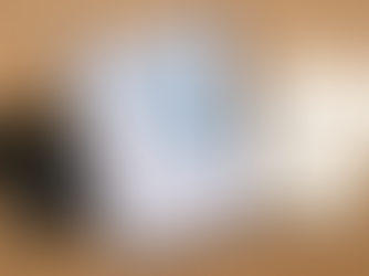 להבין את התמונה הכלכלית שלנו