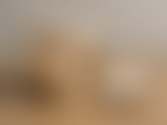 המדריך למשפחה שמבקשת שקט כלכלי