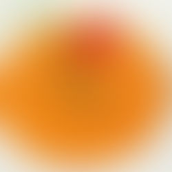 Vellutata di gamberi e crostini