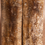 Thumbnail: 4" x 1.4" Stabilized Mammoth Tusk Bark Scales 252799